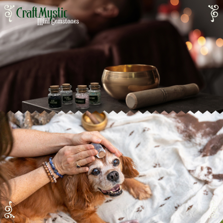 Set 21 Sticlute cu Mini Cristale si Pietre Semipretioase pentru Ritualuri Magice [4]