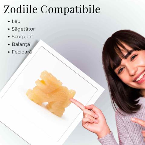 Dragon din Topaz Galben – Forta Interioara, Prosperitate si Claritate Mentala [4]