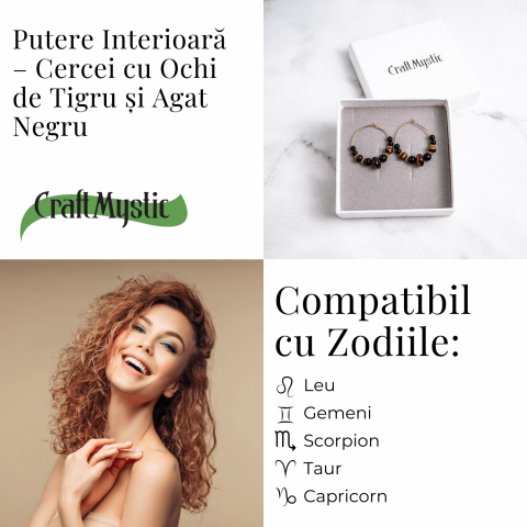 Putere Interioara – Cercei cu Ochi de Tigru si Agat Negru [4]
