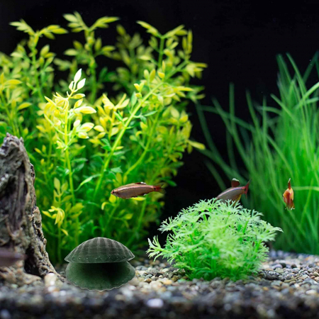 Figurina 4 cm din cristal natural in forma de scoica, ornamente pentru acvariu, marturie tip cadou de nunta, proiecte DIY [2]