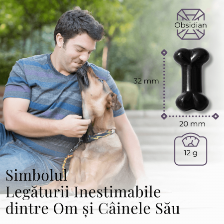 Figurina in Forma de Os din Cristale Naturale - Ametist, Ochi de Tigru, Obsidian si Cuart Roz, 30mm [21]