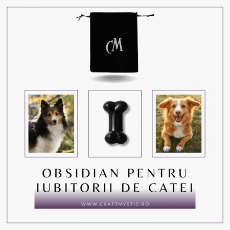 Figurina in Forma de Os din Cristale Naturale - Ametist, Ochi de Tigru, Obsidian si Cuart Roz, 30mm [18]