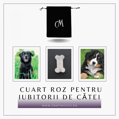 Figurina in Forma de Os din Cristale Naturale - Ametist, Ochi de Tigru, Obsidian si Cuart Roz, 30mm [10]