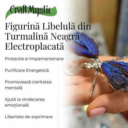 Amuleta Transformare - Libelula Turmalina Neagra Curcubeu [2]