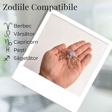 Figurina Paianjen Ametist - Echilibru Emotional si Protectie Energetica [3]