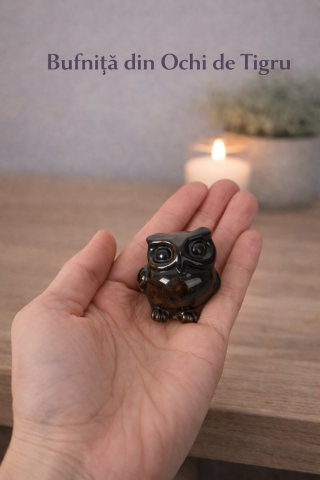 Bufnita Intelepciunii din Ochi de Tigru – Claritate Mentala si Protectie Spirituala [1]