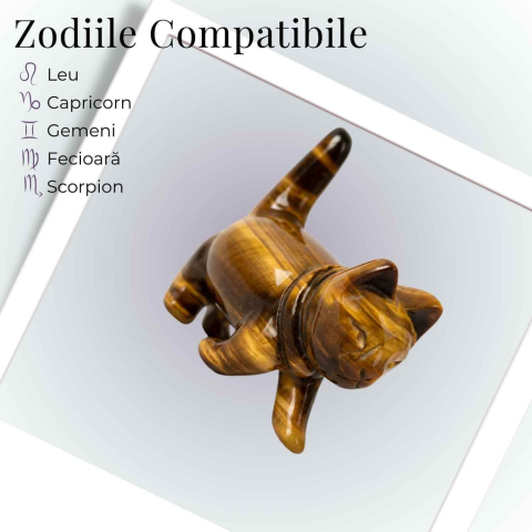 Figurina Pisica din Ochi de Tigru – Curaj, Protectie si Claritate Interioara [4]