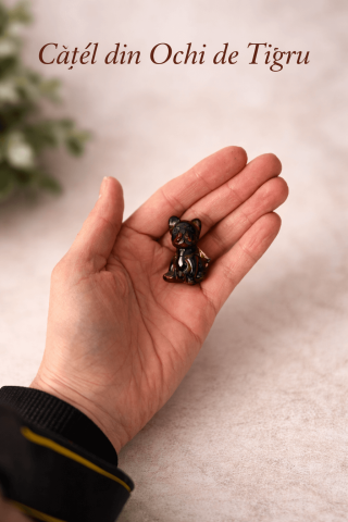 Catel protector din Ochi de Tigru – Curaj, Loialitate si Energie de Protectie [1]