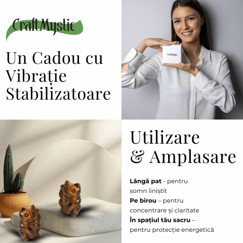 Pisicuta prosperitatii – Ochi de Tigru pentru Succes, Claritate si Protectie [2]