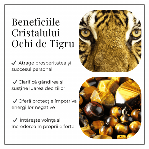 Leu Sacru din Ochi de Tigru – Putere Interioara si Protectie Energetica [5]