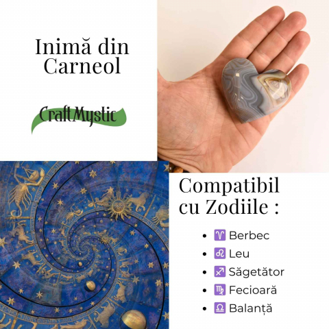 Inima din carneol – curaj in fiecare celula [4]