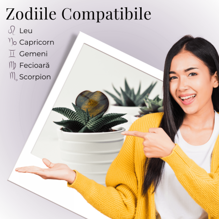 Inima Sculptată Manual de 55-60mm din Ochi de Tigru Natural [5]