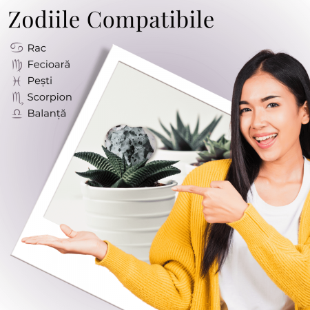 Inima Sculptata Manual de 55-60mm din Piatra Lunii Curcubeu Naturala [4]