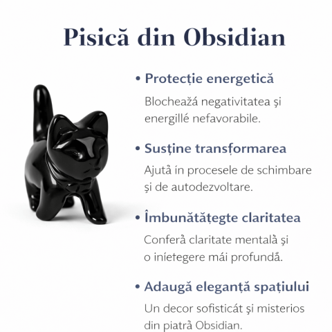 Figurina Pisica din Obsidian Negru – Protectie, Intuitie si Eleganta Mystica [5]