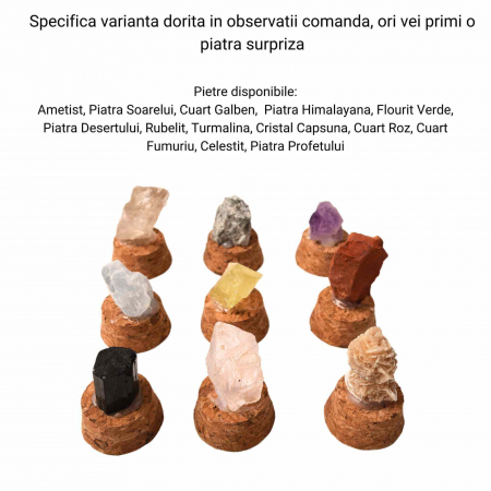 Pietre Brute Specimen 2-3 cm in Sticluta cu Dop de Pluta [1]