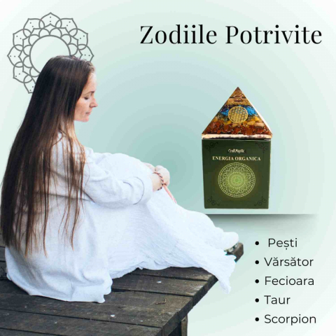 Piramida Orgonica 7 Chakre cu Floarea Vietii - Energie si Armonie [4]