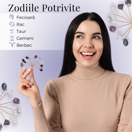 Ramurica Creativa DIY cu Pietre Naturale Fluorit (9 Pietricele) [3]