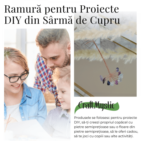 Ramurica Creativa DIY cu Pietre Naturale Fluorit (9 Pietricele) [9]