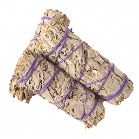 Buchet Salvie Alba California 10-12 cm - Curatare si Purificare Spirituala [4]