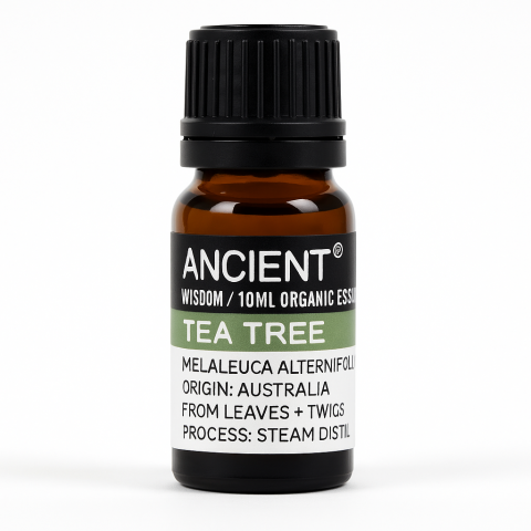 Aromaterapie - Ulei esential organic Tea Tree 10 ml (Melaleuca alternifolia) – purifiant pentru difuzor, ten si scalp (diluat)