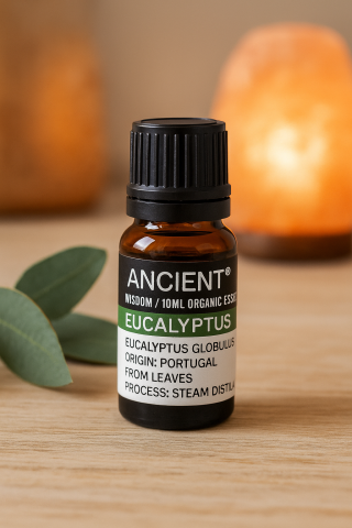 Ulei esential organic Eucalyptus 10 ml (Eucalyptus globulus) – revigorant pentru difuzor, baie si masaj (diluat) [2]