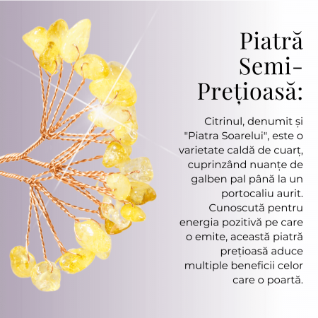 Mini Casa cu ramura din Citrin Natural , Arbore de Energie Spirituala Reiki, pentru Decoratiuni de Birou si Acasa [6]