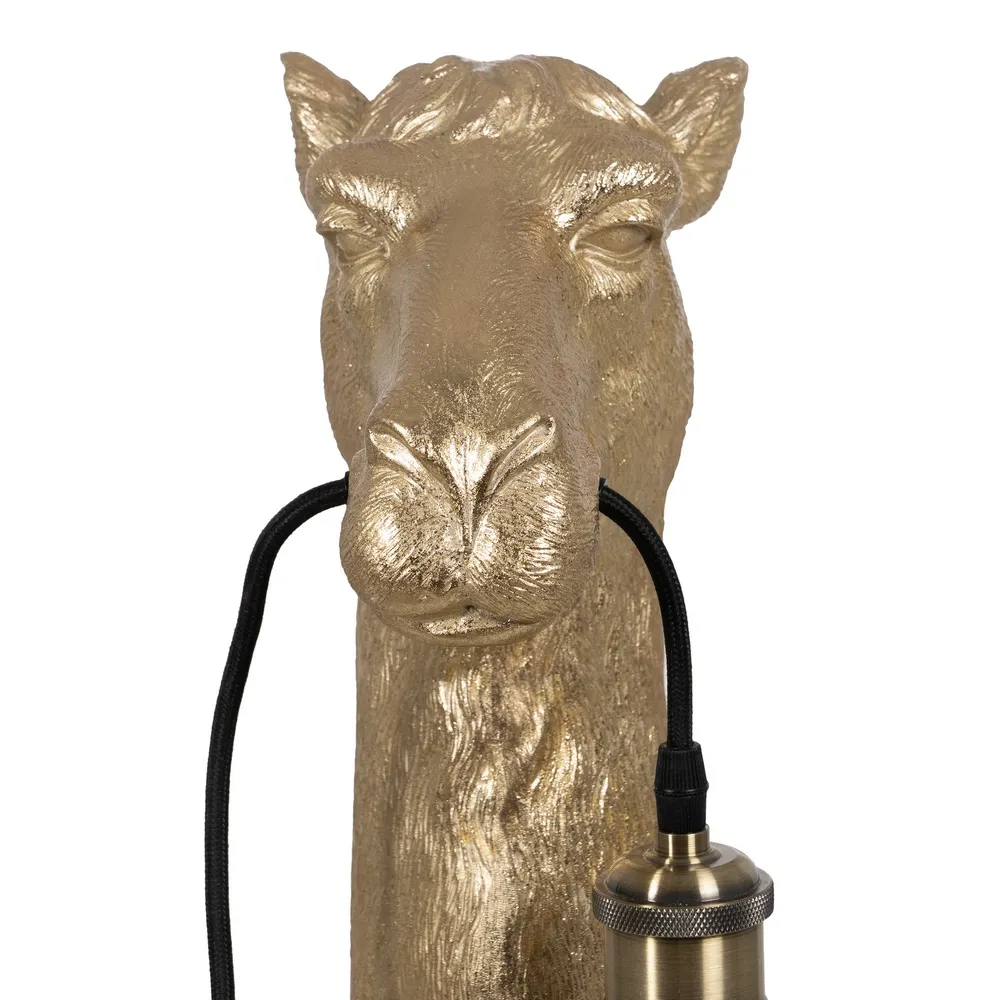 Aplica perete Camel, rasina, auriu, Ixia - creativdeco.ro [7]