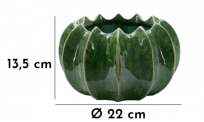 Bol decorativ ceramic verde Cactus [7]
