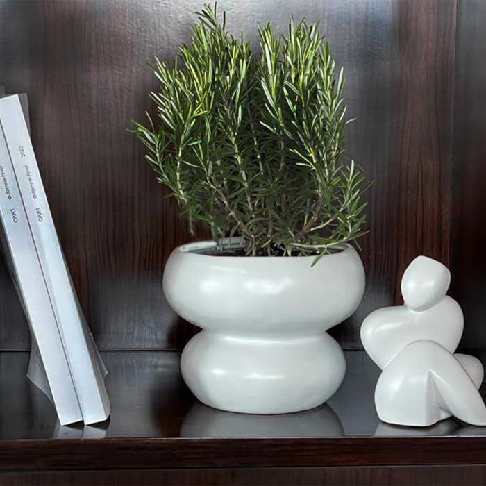 Bol Ceramic Alb|Decoratiuni Design Premium [3]