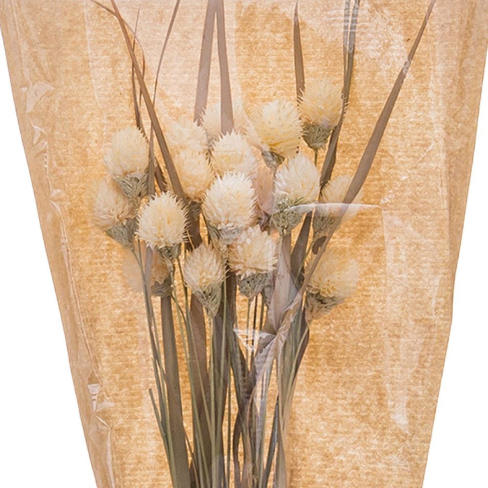 Buchet de flori uscate cu capete crem de scai și frunze lungi în nuanță naturală pentru vază [2]