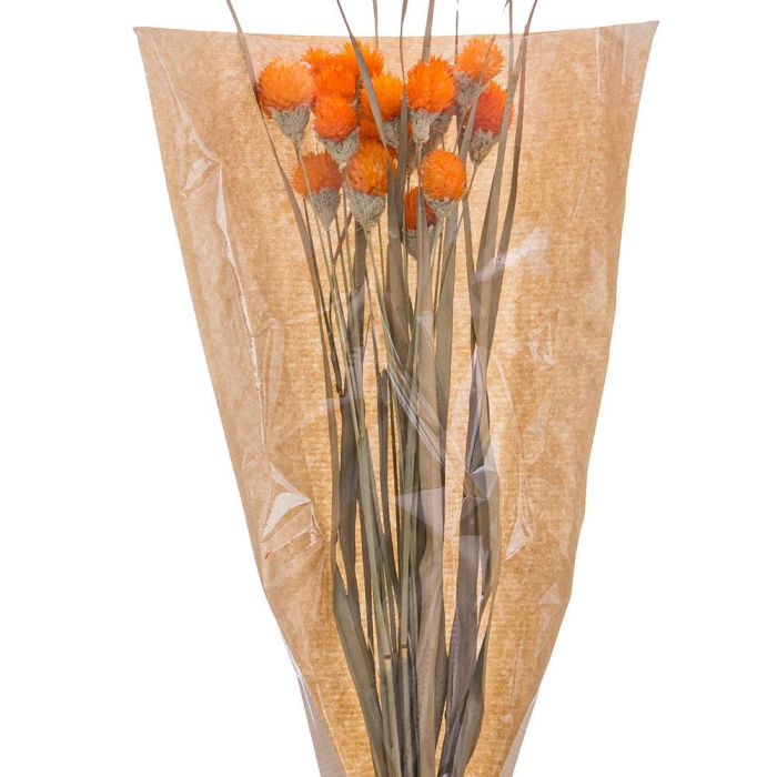 Buchet de flori uscate cu capete portocalii de scai și frunze lungi pentru vază înaltă [2]