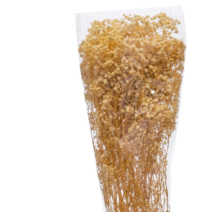 Buchet de flori uscate paniculata în nuanță naturală de miere și paie pentru vază înaltă [2]