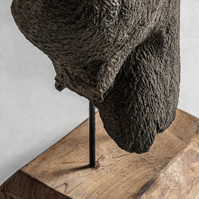 Bust decorativ contemporan teracota|Busturi decorative moderne [2]
