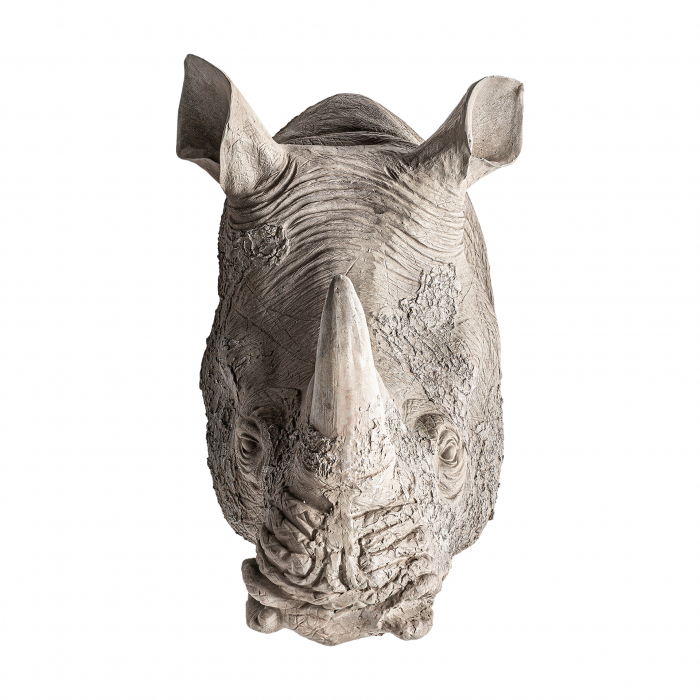Bust rinocer scandinav gri|Sculpturi animale moderne [2]