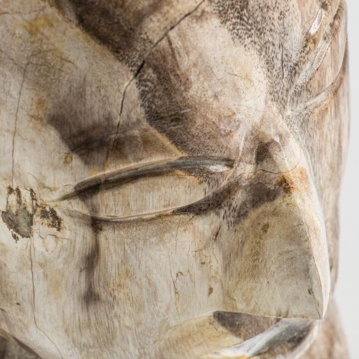 Bust etnic lemn petrificat maro|Busturi decorative [2]
