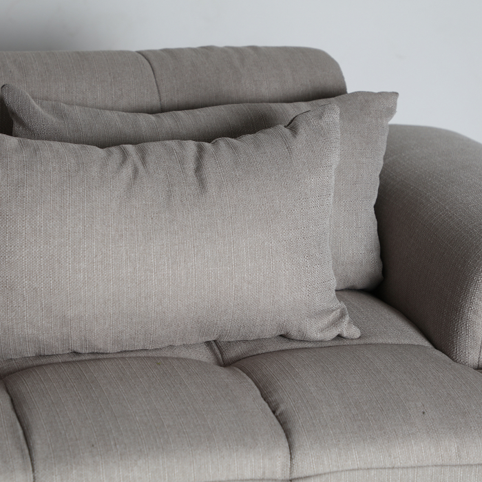 Canapea Contemporana gri | Canapele moderne elegante [4]