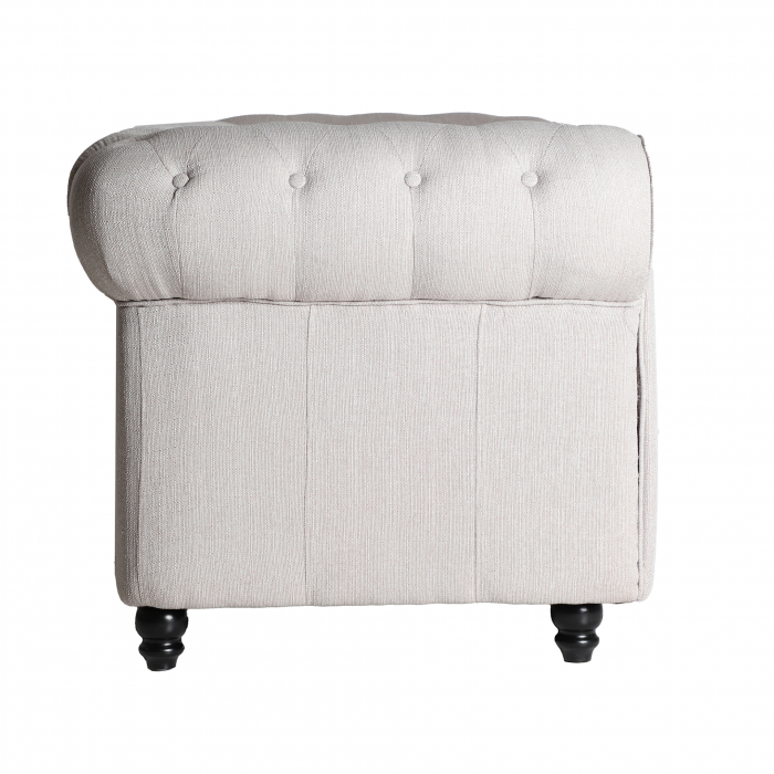 Canapea clasica in|Canapele moderne premium [3]