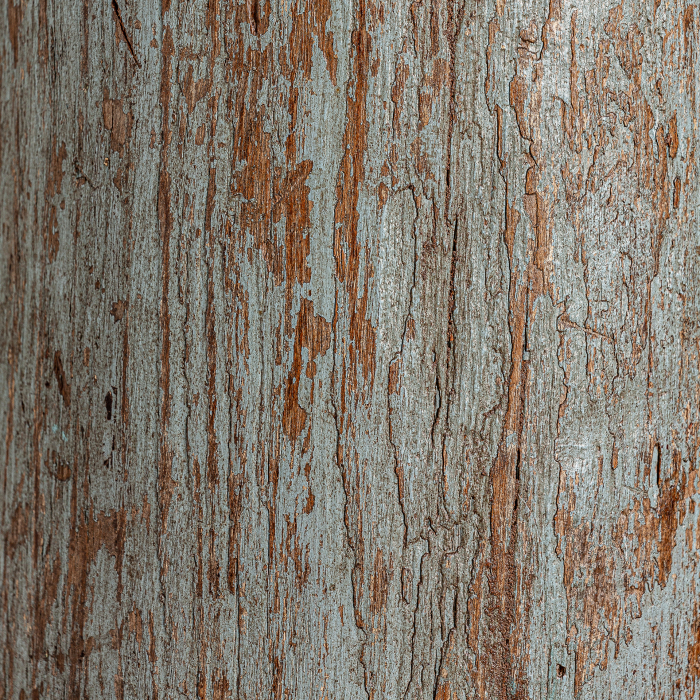 Coloana etnica lemn tec gri|Coloane decorative moderne [2]