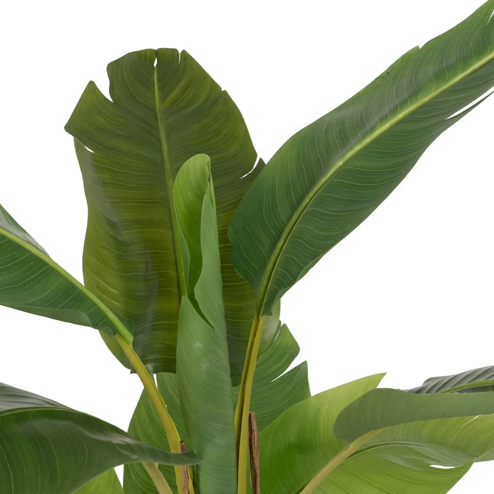 Bananier Artificial in Ghiveci | Plante Tropicale Artificiale Inalte [2]