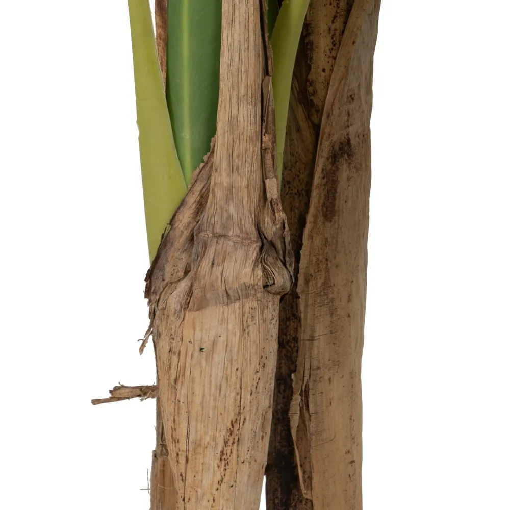 Bananier Artificial in Ghiveci | Plante Tropicale Artificiale Inalte [5]