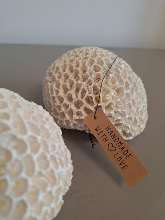 Coral rotund, polirasina, alb - CreativDeco.ro [3]