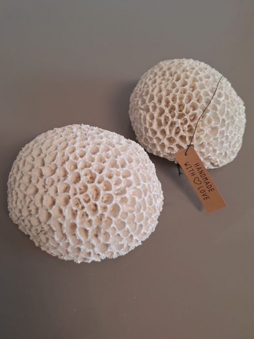 Coral rotund, polirasina, alb - CreativDeco.ro [8]