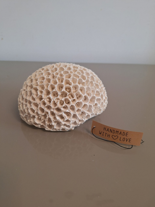 Coral rotund, polirasina, alb - CreativDeco.ro [10]