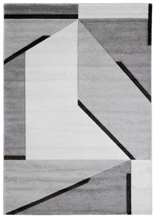 Covor contemporan practic gri|Covoare moderne premium [1]