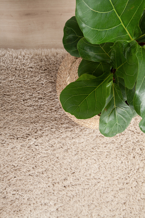 Covor modern minimalist bej|Covoare ecologice premium [1]