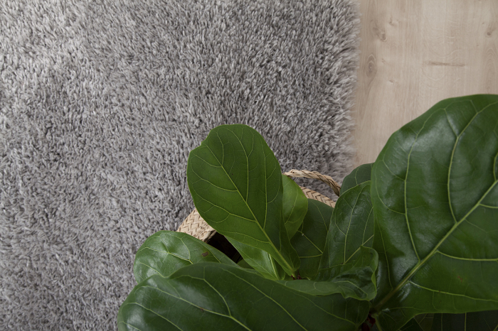 Covor modern minimalist gri|Covoare ecologice premium [5]
