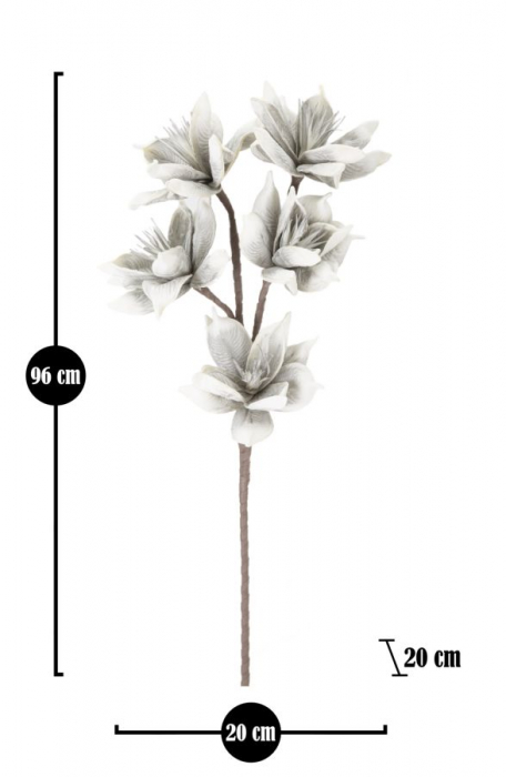 Crenguta Wintersweet alb-gri flori - CreativDeco.ro [6]
