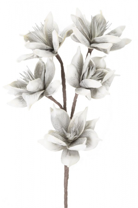 Crenguta Wintersweet alb-gri flori - CreativDeco.ro [2]