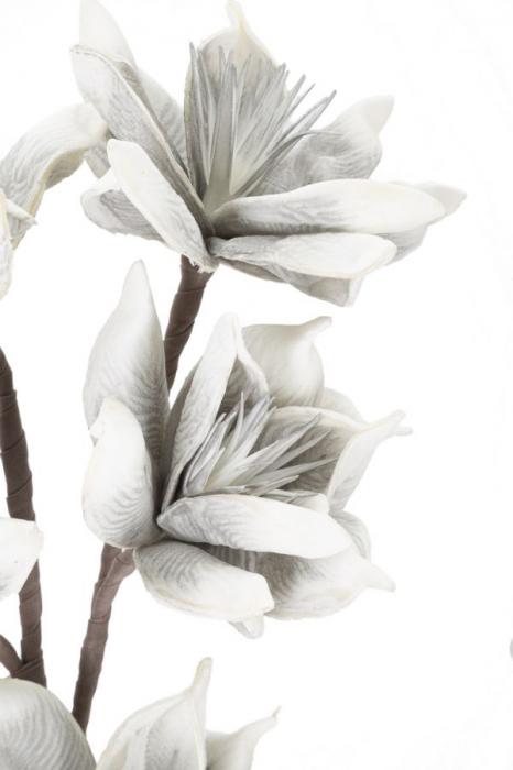 Crenguta Wintersweet alb-gri flori - CreativDeco.ro [3]