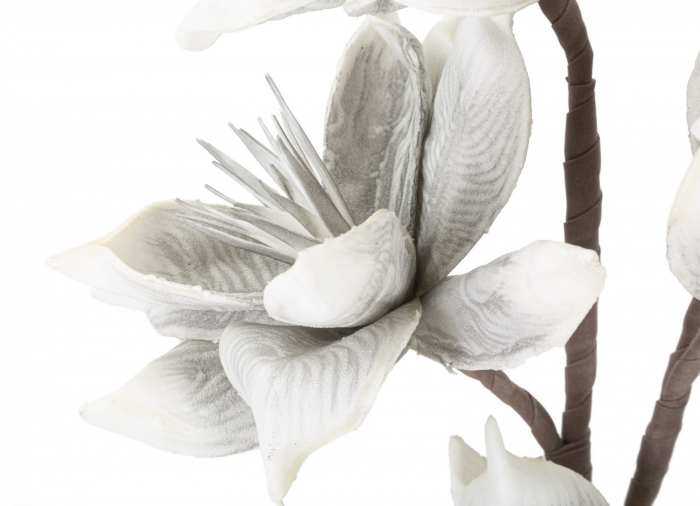 Crenguta Wintersweet alb-gri flori - CreativDeco.ro [4]